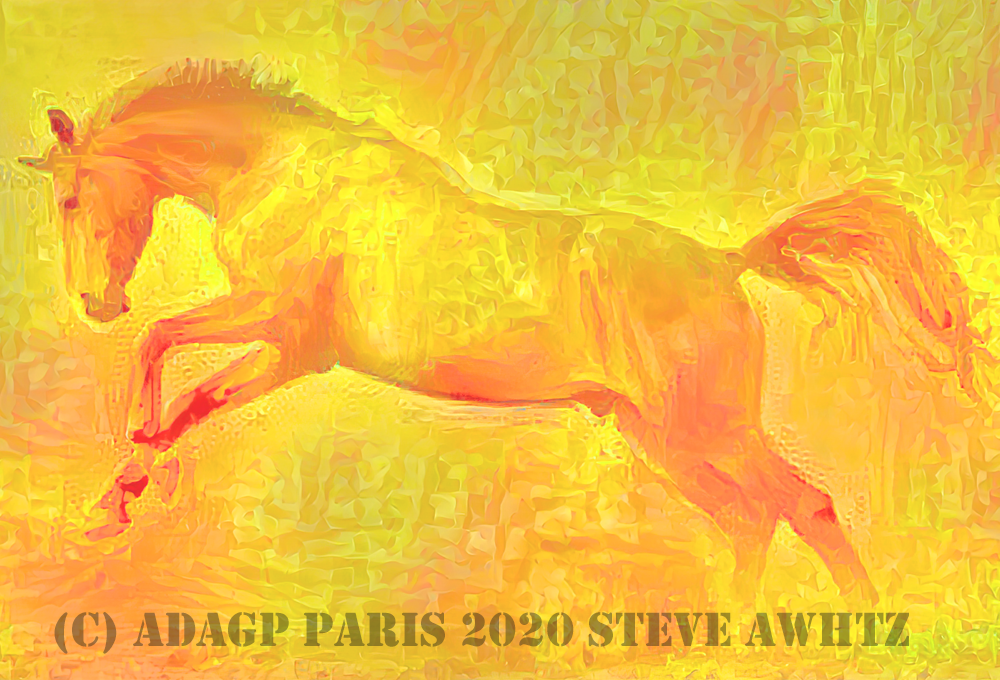 2023 Ruade du cheval d'or